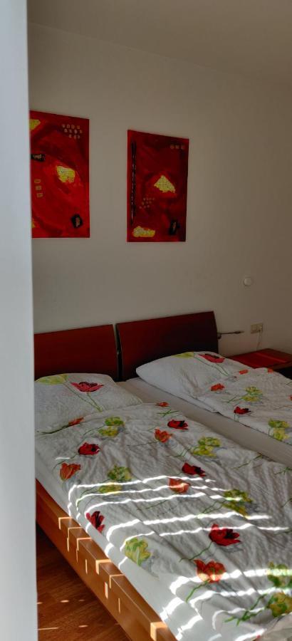 Ferienwohnung Christa バート・ペーターシュタル・グリースバッハ エクステリア 写真
